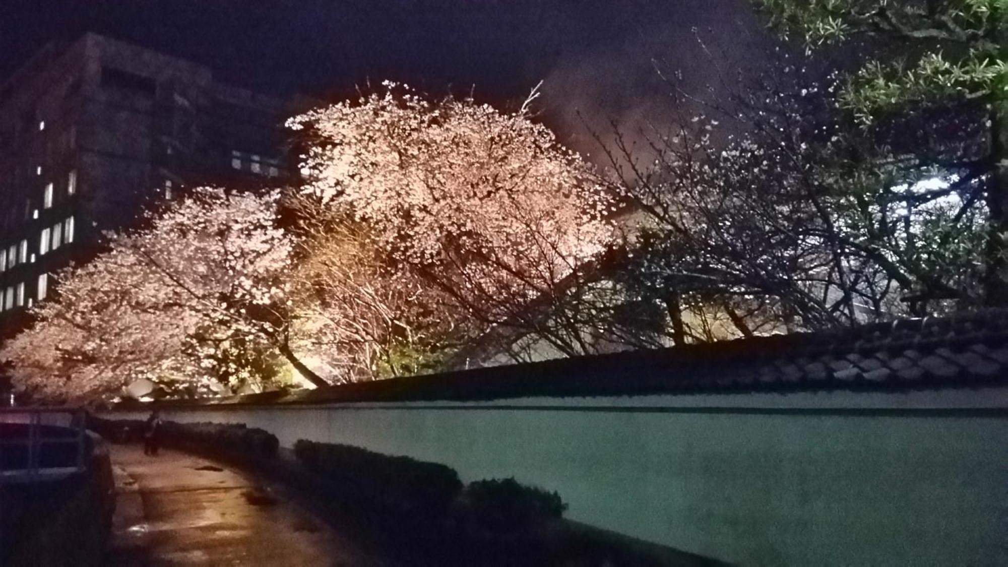 Ryokan Yoshino Hitoyoshi Exterior foto